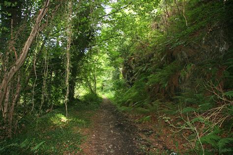 dargle coach road an old forgotten coach road off the bea… flickr