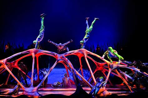 A Dazzling Evening Under The Grand Chapiteau At Cirque Du Soleil Totem