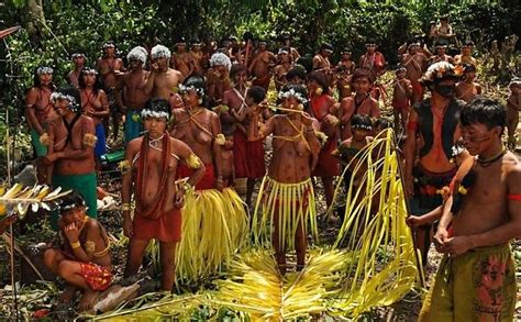 The Yanomami Tribal People Inhabiting The Deep Forests Of Amazon In
