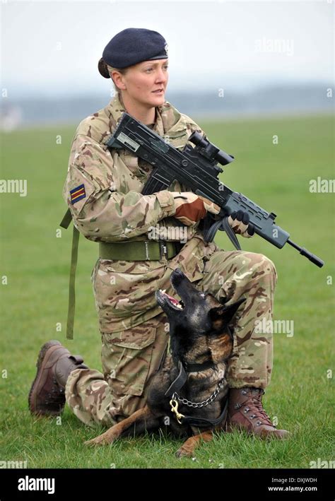 Army Dog Handler Dog Cpl Fotografías E Imágenes De Alta Resolución Alamy