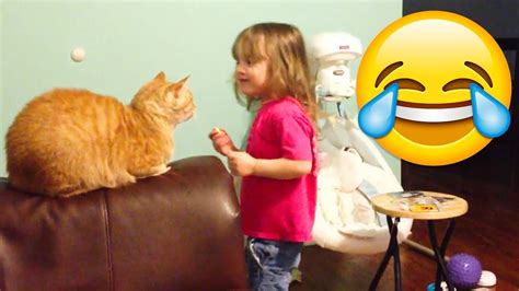 Unexpected Cats Attack Crazy Cats Behavior Try Not To Laugh