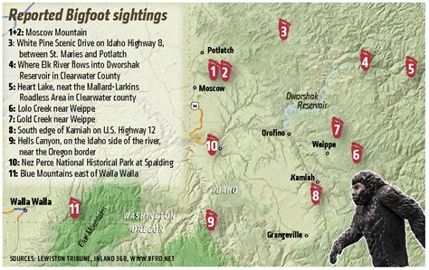 How To Have A Bigfoot Experience In The Inland Northwest