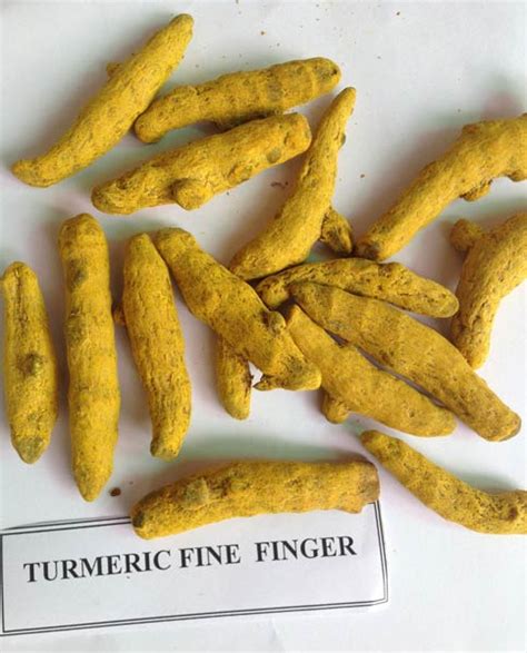 Turmeric Fingers At Best Price In Ernakulam Ann Impex House Of Spices