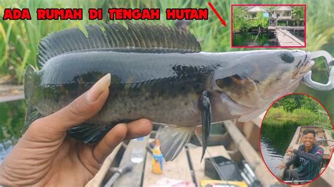 CASTING IKAN KERANDANG DAN TOMAN DI SUNGAI SIMPANG MELAKA SM 79 YouTube