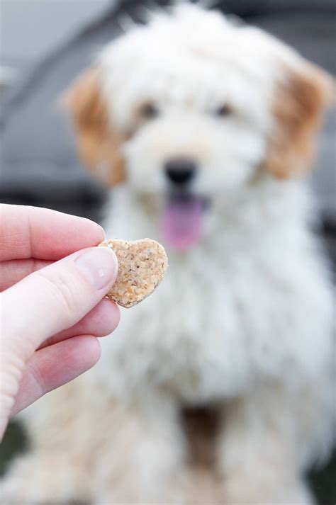 Peanut Butter Dog Treats Recipe Elephantastic Vegan
