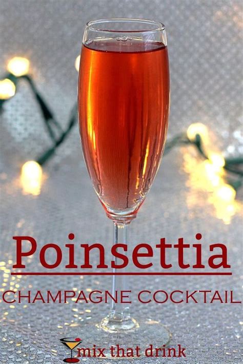 Cocktails made with champers and other sparkling wines that tickle the palate! Poinsettia drink: a champagne cocktail recipe | Recipe | Champagne drinks, Holiday drinks ...