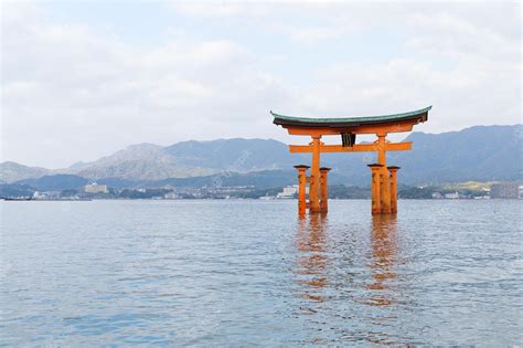 Premium Photo Floating Torii Gate Of Itsukushima Shrine
