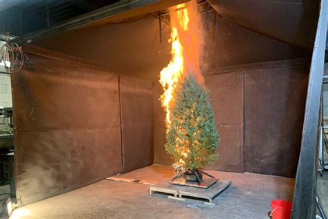Tips To Keep Your Christmas Tree Safe From Catching Fire This Holiday