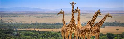2 Days Masai Mara Quick Safari From Nairobi