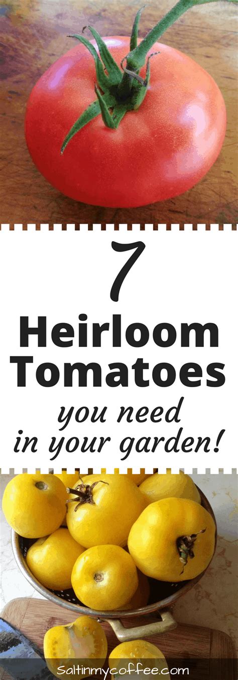 7 Heirloom Tomatoes You Need In Your Garden Celebrating A Simple Life