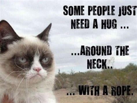 Keep Calm And Diy 9 Awesome Grumpy Cat Memes