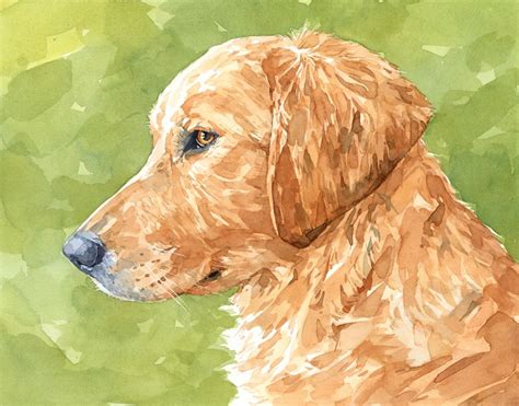 Golden Retriever Art Print Watercolor Limited Edition Dog Watercolor