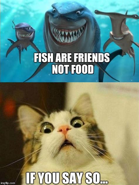 Fish Are Friends Not Food Meme Memeasq