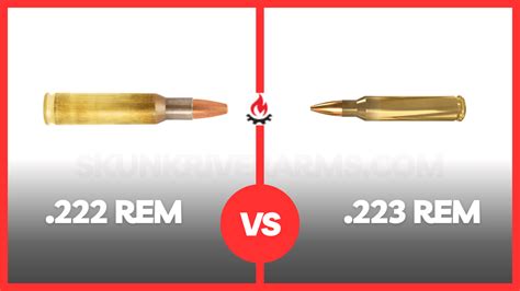 222 Remington Vs 223 Remington Which One Is Better