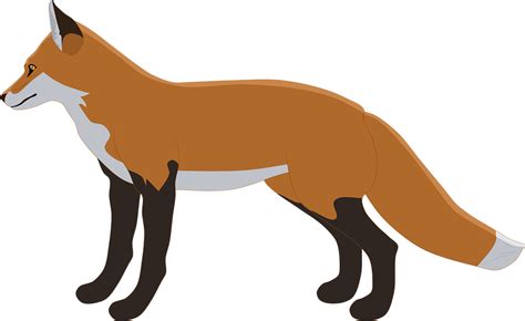Fox Jumping Silhouette Transparent Png Svg Vector File Images