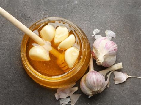 Baby food made from meat is often seasoned with onion or garlic, so it should not be fed to cats. Raw Garlic And Honey For Weight Loss: Easy Home Remedy In ...