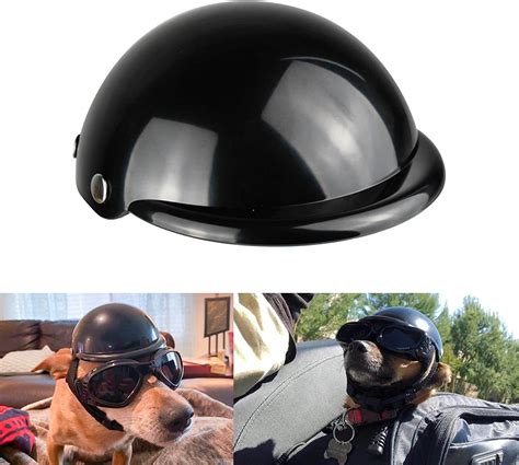 Best Motorcycle Helmet For Dogs Of 2021 Step By Step Guide