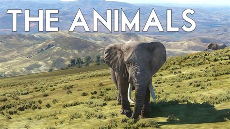 Microsoft Flight Simulator 2020 Animals And Wildlife Youtube