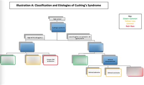 Cushings Syndrome Classification Diagram Quizlet