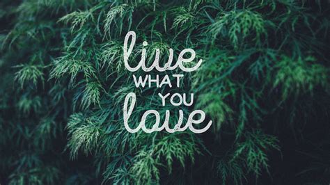 Live What You Love Sign Wallpaper Quote Typography Text Plant