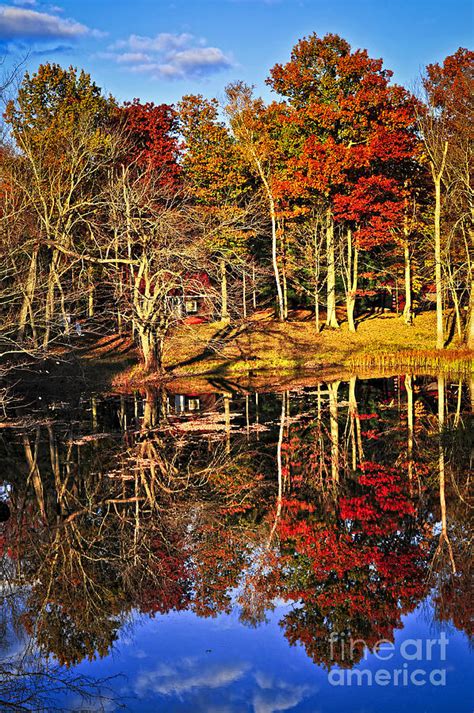 Reflections In Fall Lake Photograph By Elena Elisseeva Fine Art America