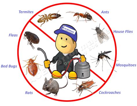 Western exterminator is your local pest control expert for pest removal and pest prevention services for your home or business. Opt For Finding The Right Gold Coast Pest Control Services ...