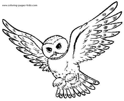 For boys and girls, kids and adults, teenagers and toddlers, preschoolers and older kids at school. Better owl invite | Harry potter coloring pages, Harry ...