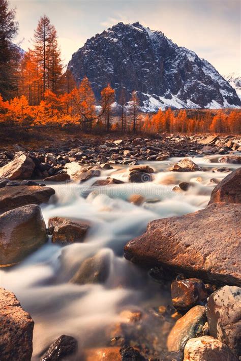 Autumn Landscape Of River And Mountains Altai Siberia Russia Stock