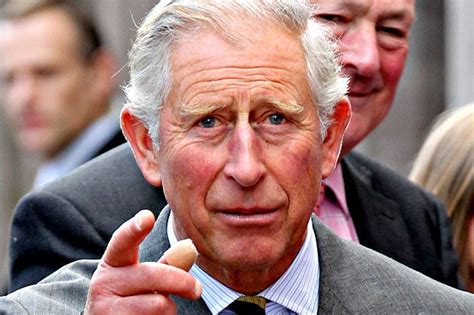 Prince Charles Letters To Ministers Will Stay Secret London Evening