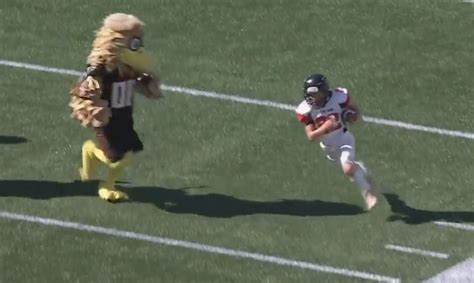 Nfl World Reacts To The Viral Mascot Hit Video The Spun