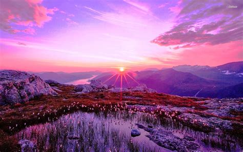 Purple Desert Sunrise Wallpapers Top Free Purple Desert Sunrise