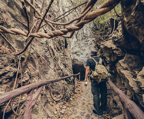 Forest Cave Stock Image Image Of Beauty Hiking Opening 6481587