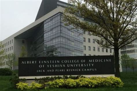 Albert Einstein College Of Medicine Secondary Questions Prospectivedoctor
