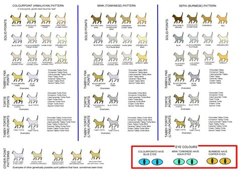 Customizable cat posters & prints from zazzle. ­­­ ­­ ­ ­ ­ ­ ­ ­ ­ ­ ­ ­ ­ ­ ­ ­ ­ ­ ­ ­ ­ ­­­­ ­­ ­ ­ ­