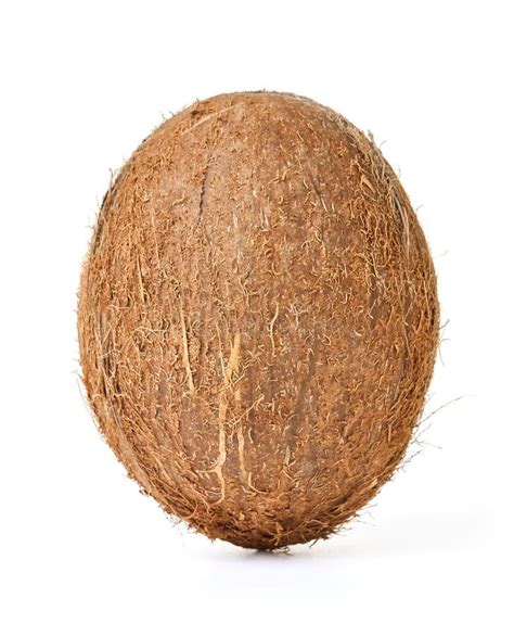 Single Whole Coconut Stock Photo Image Of Drink Single 130384774