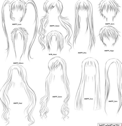 Long Female Hairstyles Ponytail Drawing How To Draw Anime Hair How