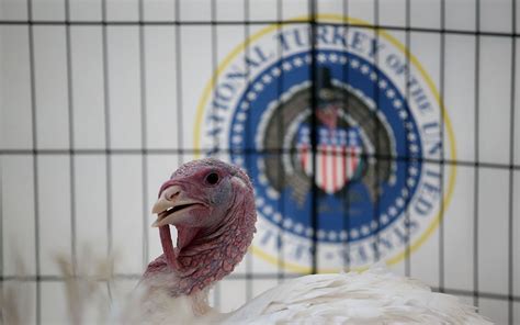 the real story behind the presidential turkey pardon parade entertainment recipes health