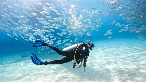 Scuba Diving In Phuket Thailand Aussie Divers Phuket