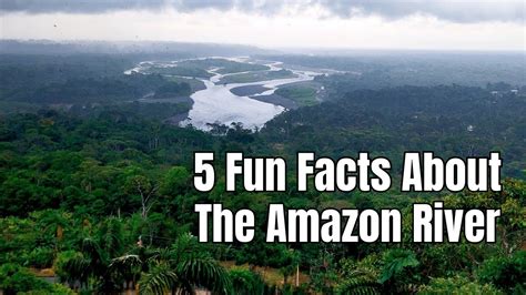 5 Fun Facts About The Amazon River Youtube