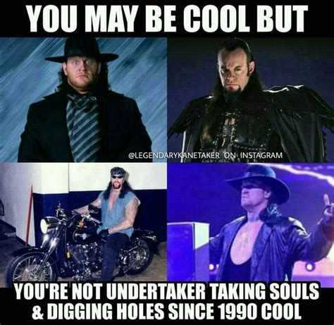 Pin By Cat D On Undertaker Wwe Funny Undertaker Wwe Undertaker
