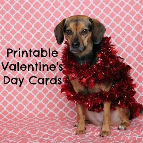 Dog Valentine Cards Printable