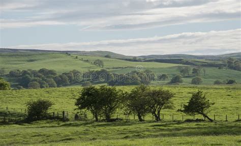 Lush Green English Countryside With Rolling Hills Stock Image Image