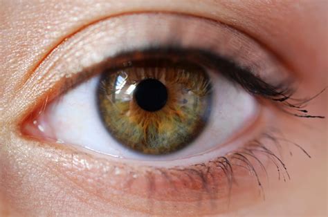 How Common Are Various Eye Colors Facts And Stats
