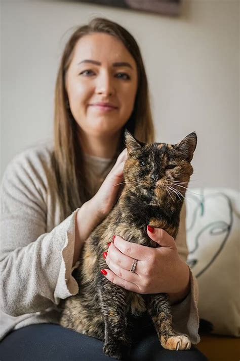Кошка из Британии признана самой старой в мире Она попала в Книгу рекордов Гиннесса