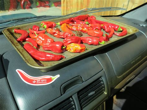 How To Dry Peppers Without A Dehydrator Growing Peppers Dried Peppers