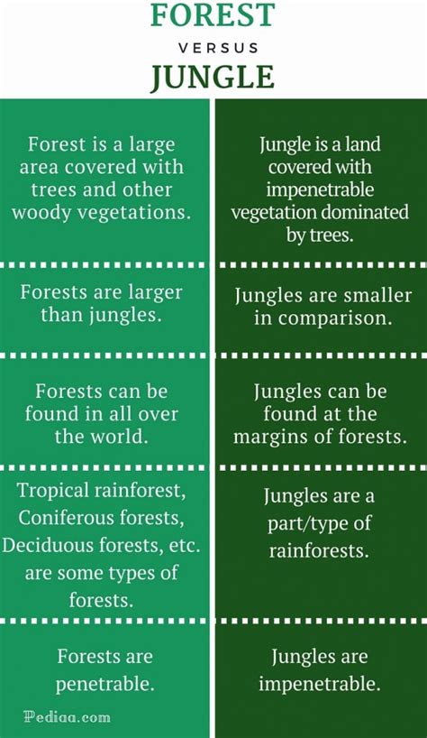 Difference Between Forest And Jungle