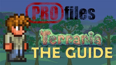 The Guide Terraria Profiles Youtube