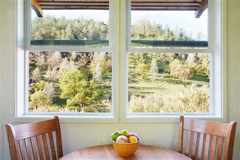 Dining Room With View Of Tiny House Cabin By Stocksy Contributor Trinette Reed Stocksy
