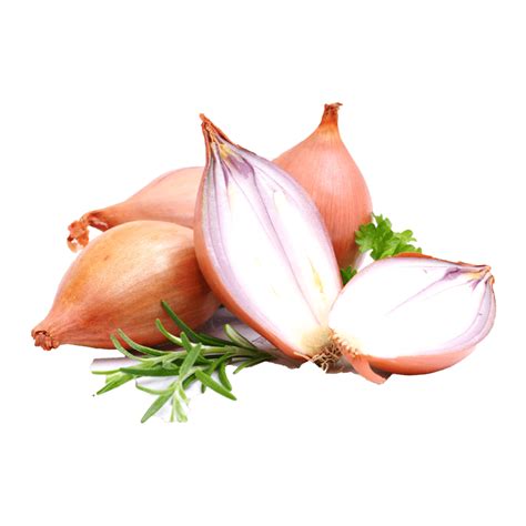 Shallots Trusted Supplier Binksberry Hollow
