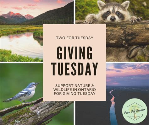 Giving Tuesday Two Things You Can Do To Support Ontario Nature And